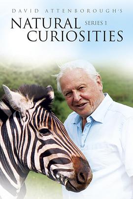 英国纪录片《自然趣闻 第一季 David Attenborough's Natural Curiosities Season 1》高清下载-八六三纪录片资源网