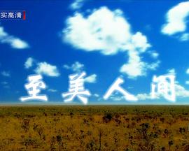 英国纪录片《至美人间 Beautiful World》高清下载-八六三纪录片资源网