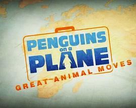 英国纪录片《飞机上的企鹅：伟大的动物运动 Penguins on a Plane: Great Animal Moves》高清下载-八六三纪录片资源网
