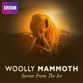 英国纪录片《揭秘冰层中的巨兽——猛犸 Woolly Mammoth: Secrets from the Ice》高清下载-八六三纪录片资源网