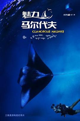 中国大陆纪录片《魅力马尔代夫》高清下载-八六三纪录片资源网