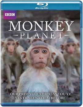 英国纪录片《猩猿星球 第一季 Monkey Planet Season 1》高清下载-八六三纪录片资源网