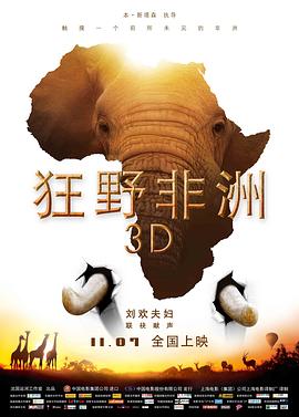 法国，比利时纪录片《狂野非洲 African Safari》高清下载-八六三纪录片资源网