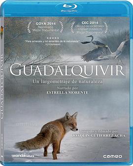 瓜达尔基维尔河 Guadalquivir的海报