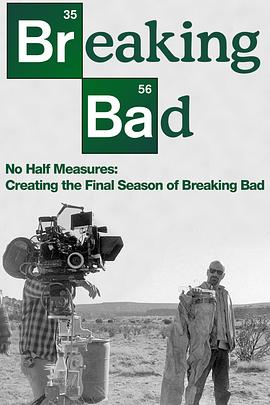 绝不折中:绝命毒师最终季制作记录 No Half Measures: Creating the Final Season of Breaking Bad的海报