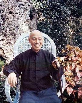 中国大陆纪录片《走近蒋介石》高清下载-八六三纪录片资源网