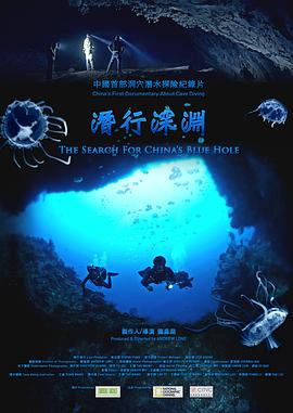 美国，中国大陆纪录片《潜行深渊》高清下载-八六三纪录片资源网