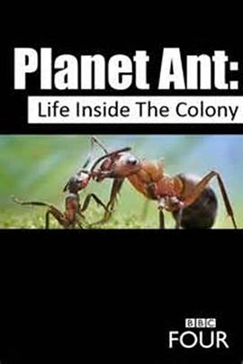 英国纪录片《蚂蚁星球 Planet Ant: Life Inside the Colony》高清下载-八六三纪录片资源网