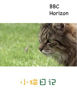 地平线系列:小猫日记 Horizon: Little Cat Diaries的海报