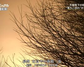 日本纪录片《外科医生天野笃 一心一意 搭建未来 仕事の流儀 一途一心 明日をつむぐ 心臓外科医 天野篤》高清下载-八六三纪录片资源网