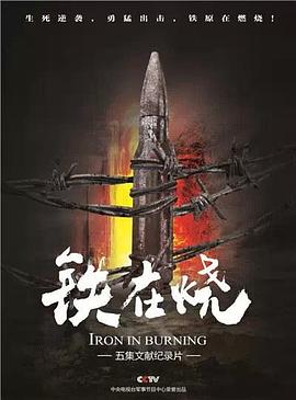 中国大陆纪录片《铁在烧》高清下载-八六三纪录片资源网