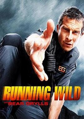 名人荒野求生 第一季 Running Wild with Bear Grylls Season 1的海报