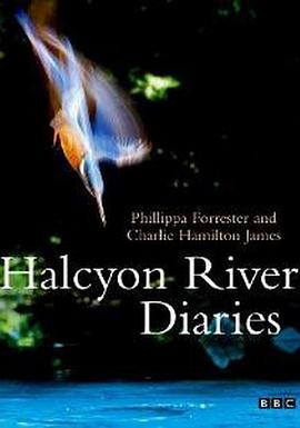 英国纪录片《翠鸟河日记 Halcyon River Diaries》高清下载-八六三纪录片资源网