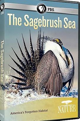 自然:灌木蒿海洋 Nature - The Sagebrush Sea的海报