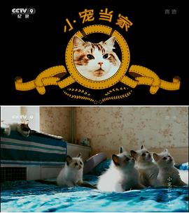 中国大陆纪录片《小宠当家》高清下载-八六三纪录片资源网