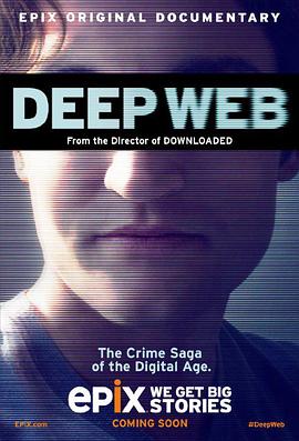 美国纪录片《深网：比特币和丝绸之路未透露的故事 Deep Web: The Untold Story of BitCoin and Silk Road》高清下载-八六三纪录片资源网