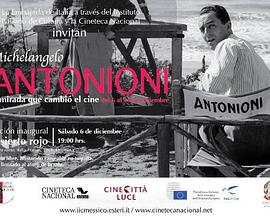 意大利纪录片《安东尼奥尼：拥有改变电影界的眼睛 Michelangelo Antonioni:The Eye That Changed Cinema》高清下载-八六三纪录片资源网