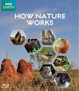 自然的运作 How Nature Works的海报
