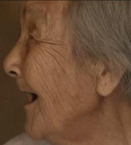 中国香港纪录片《凤凰大视野  最后的“慰安妇”》高清下载-八六三纪录片资源网