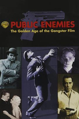 美国纪录片《公众之敌:黑帮电影的黄金时代 Public Enemies: The Golden Age of the Gangster Film》高清下载-八六三纪录片资源网