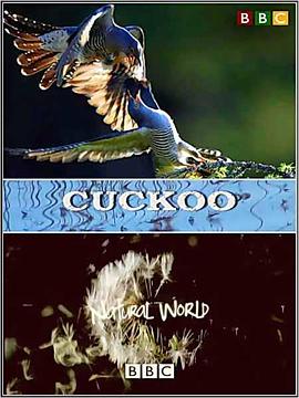 英国纪录片《解密布谷鸟 The Natural World: Cuckoo》高清下载-八六三纪录片资源网