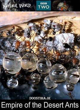英国纪录片《BBC 自然世界：沙漠蚂蚁帝国 BBC Natural World:Empire of the Desert Ants》高清下载-八六三纪录片资源网