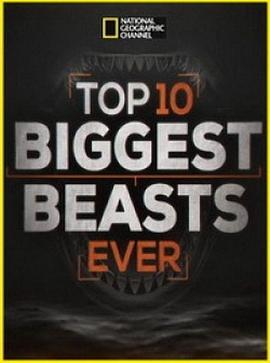 美国纪录片《十大巨兽排行榜 Top 10 Biggest Beasts Ever》高清下载-八六三纪录片资源网