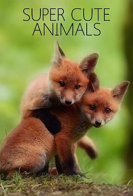 英国纪录片《超萌动物 Super Cute Animals》高清下载-八六三纪录片资源网