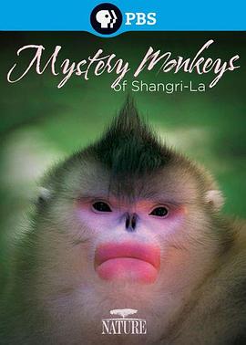 中国大陆纪录片《香格里拉神秘之猴 Mystery Monkeys of Shangri-La》高清下载-八六三纪录片资源网