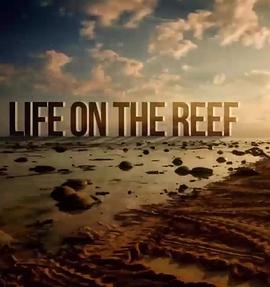 澳大利亚纪录片《跃动大堡礁 第一季 Life on the Reef Season 1》高清下载-八六三纪录片资源网