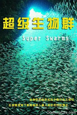 英国纪录片《超级群体 Superswarms》高清下载-八六三纪录片资源网