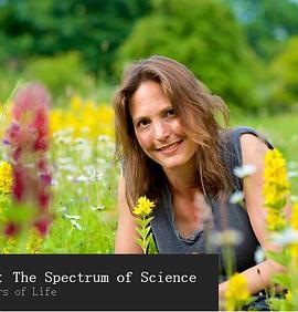 英国纪录片《色彩的奥秘 Colour: The Spectrum of Science》高清下载-八六三纪录片资源网