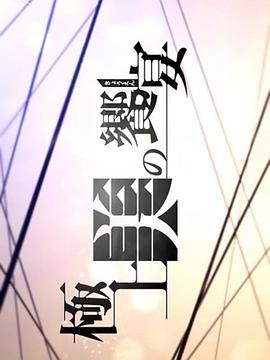 日本纪录片《极上美的飨宴 極上美の饗宴》高清下载-八六三纪录片资源网