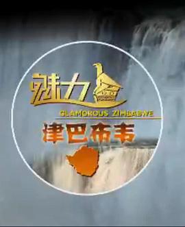 中国大陆纪录片《魅力津巴布韦》高清下载-八六三纪录片资源网