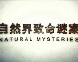 自然界致命谜案 Natural Mysteries的海报