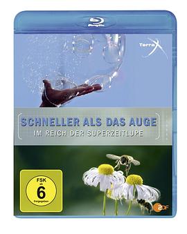 德国纪录片《超慢动作下的世界 Schneller als das Auge》高清下载-八六三纪录片资源网