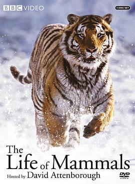 英国纪录片《哺乳类全传 The Life of Mammals》高清下载-八六三纪录片资源网