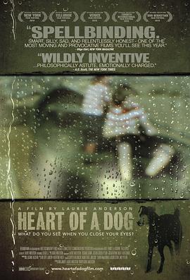 美国，法国纪录片《狗心 Heart of a Dog》高清下载-八六三纪录片资源网