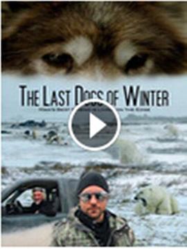 New Zealand | Canada纪录片《濒危的爱斯基摩犬 The Last Dogs of Winter》高清下载-八六三纪录片资源网