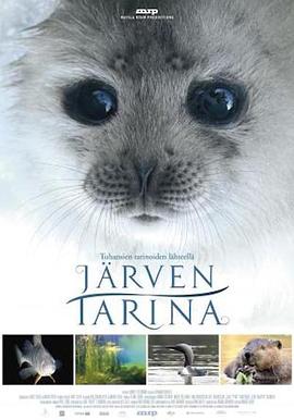 芬兰纪录片《湖泊的传说 Järven tarina》高清下载-八六三纪录片资源网