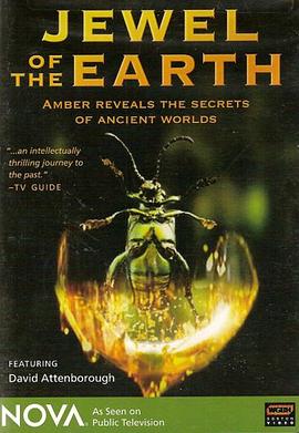 美国纪录片《琥珀昆虫 Jewel.of.the.Earth.》高清下载-八六三纪录片资源网