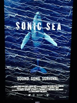 美国纪录片《噪音海洋 Sonic Sea》高清下载-八六三纪录片资源网