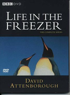 英国纪录片《冰雪的童话 Life In The Freezer》高清下载-八六三纪录片资源网