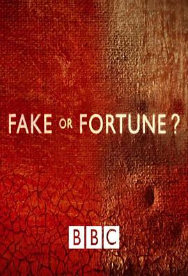 英国纪录片《赝品或珍品？ 第一季 Fake or Fortune? Season 1》高清下载-八六三纪录片资源网