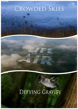 英国纪录片《空中生灵 Life in the Air》高清下载-八六三纪录片资源网