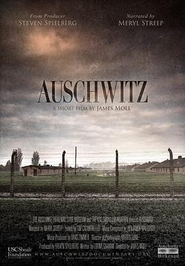 美国纪录片《奥斯维辛集中营 Auschwitz》高清下载-八六三纪录片资源网
