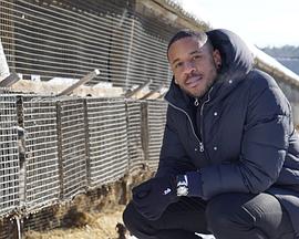 揭秘亿万富豪的衣橱 Inside the Billionaire's Wardrobe的海报