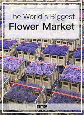 英国纪录片《世界上最大的鲜花市场 The World's Biggest Flower Market》高清下载-八六三纪录片资源网
