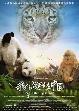美国,英国,中国大陆纪录片《我们诞生在中国 Born in China》高清下载-八六三纪录片资源网