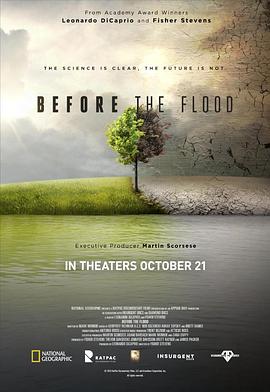 美国纪录片《洪水泛滥之前 Before the Flood》高清下载-八六三纪录片资源网